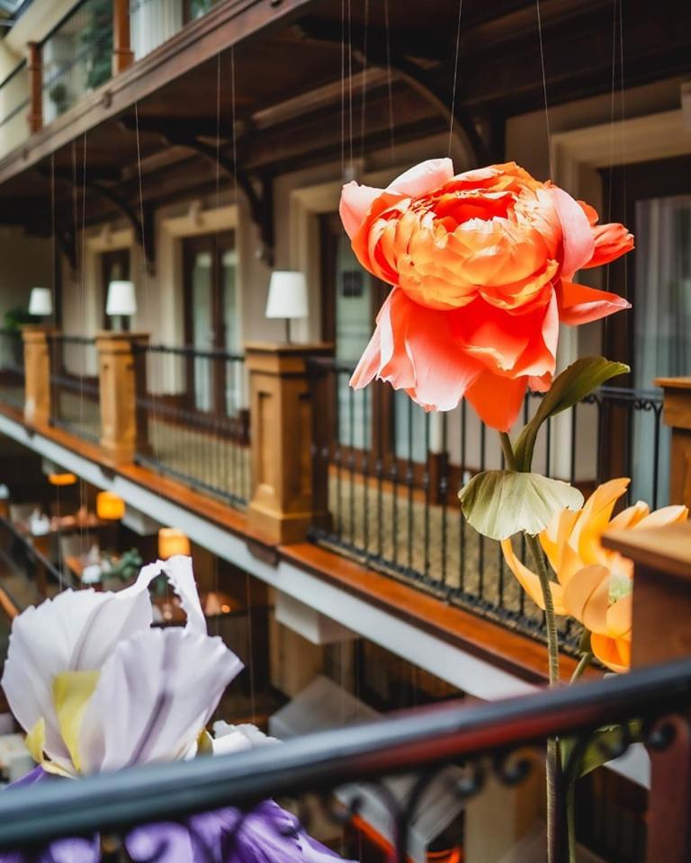 Grand Hotel Boutique Rzeszów Εξωτερικό φωτογραφία